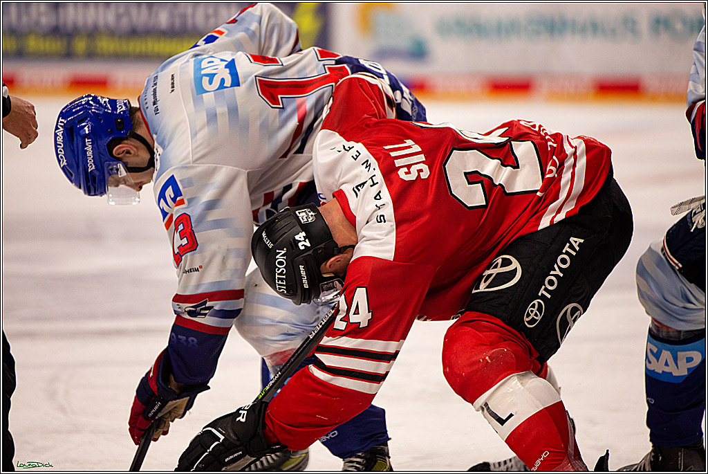PENNY DEL; Koelner Haie- Adler Mannheim; Koeln, 04.11.2022